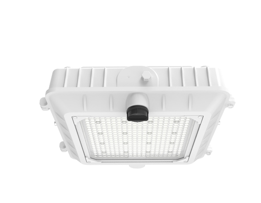 kopen LED-gelucht voor het dak van een tankstation met een temperatuur van -30 °C tot 45 °C en een witte kleur volgens RAL 1127 online vervaardiging