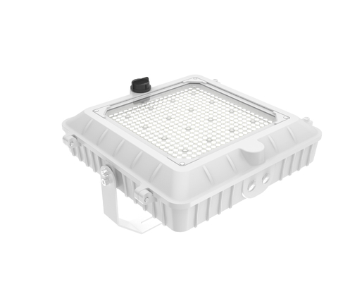 kopen 150W A Level LED Parkeergarage Canopy Light voor commerciële gebouwen online vervaardiging
