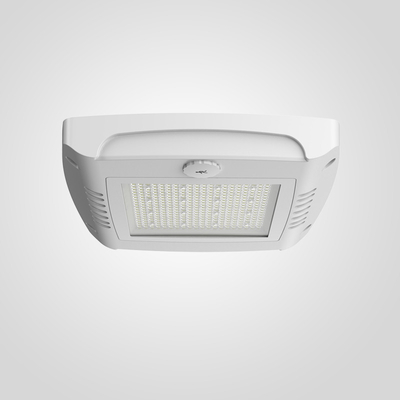 Energiebesparende LED-plaats Gas Canopy LED-lampen Plafondmontage Industriële Canopy-lampen